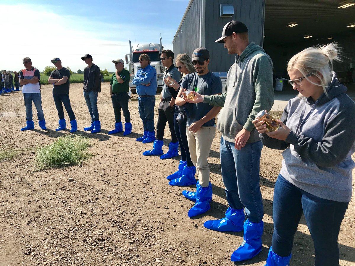 AFSC_AB's tweet photo. Nicole, a product specialist - insurance from the Camrose office, and Micaela, a product specialist - insurance from the Sedgewick office, attended a canola CropWalk in Killam. https://t.co/1U65zVzL10