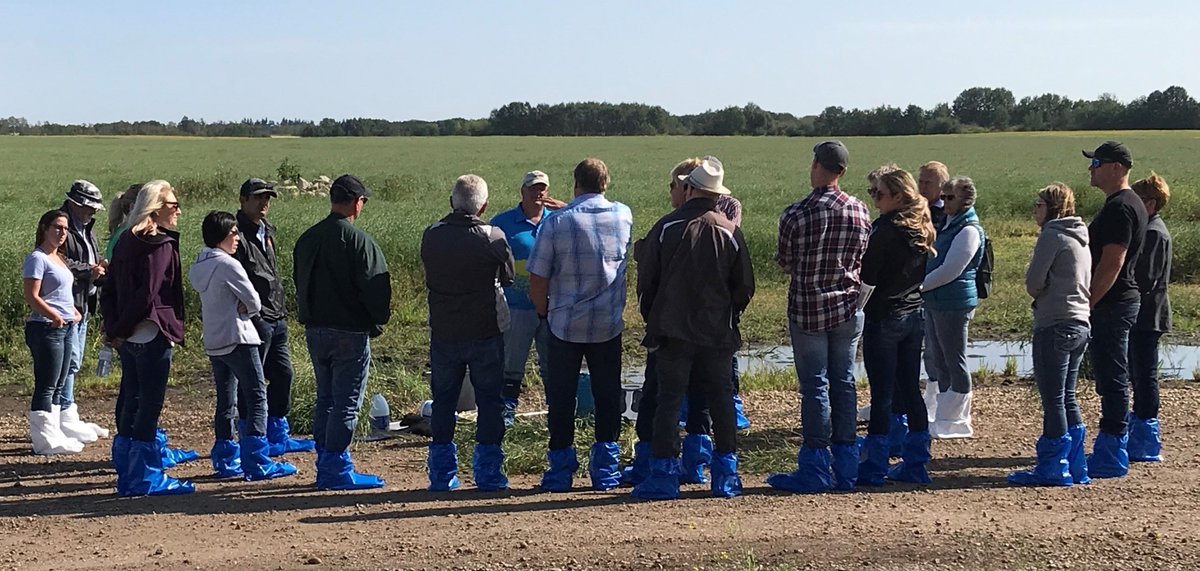 AFSC_AB's tweet photo. Nicole, a product specialist - insurance from the Camrose office, and Micaela, a product specialist - insurance from the Sedgewick office, attended a canola CropWalk in Killam. https://t.co/1U65zVzL10
