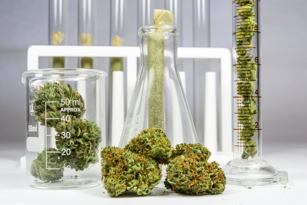 EISCLabData's tweet photo. Automatically generate #Cannabis industry #reports within seconds &amp; save hours in the #lab! Watch DEMO here, https://t.co/pUkjaKSOTB.

#LabDataAutomation #DataIntegrity #MassSpectrometry #AnalyticalChemistry #DataTraceability #DataDefensibility https://t.co/mVPGhANAsd