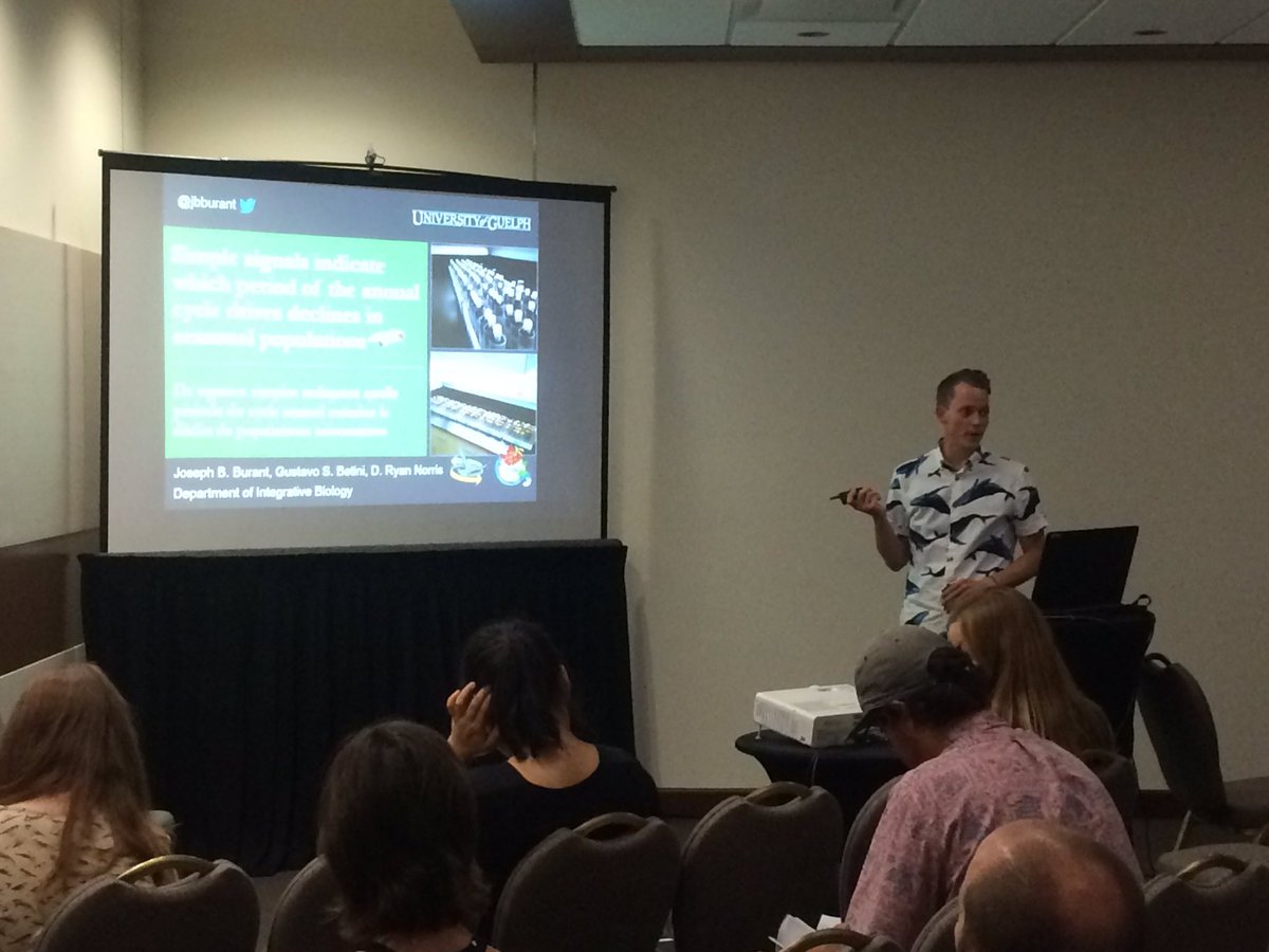 Population declines are influenced by season and habitat loss in the ‘quintessential’ vertebrate, the fruit fly. Great talk by <a href="/jbburant/">Joey</a> in the Vertebrate Conservation session! Also, check out that awesome whale shirt! #CSEE2019 #EcoEvoEnto2019
