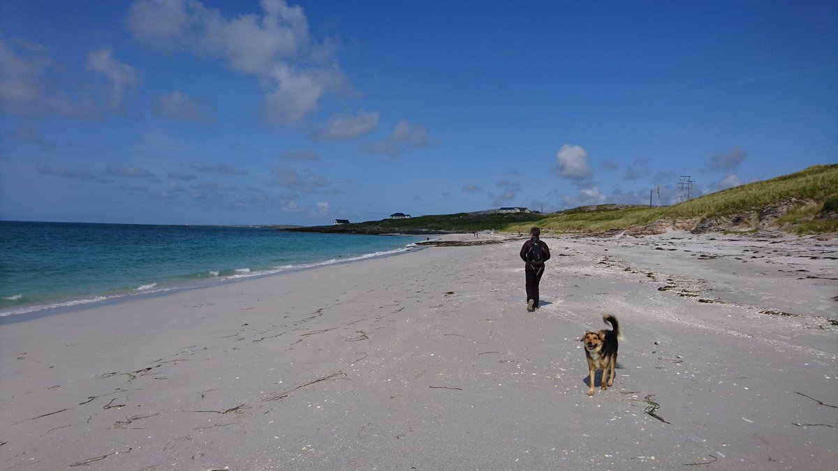 DogMungo's tweet photo. Today's lovely beach was at #Eriskay #OuterHebrides #Scotland https://t.co/UGil4UFJro