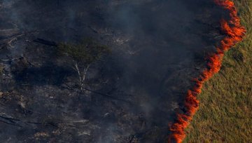 AnneMarieBrasil's tweet photo. #PrayforAmazonia 
The Amazon has been in serious trouble for weeks and no one is talking about it. The Amazon rainforest, one of the most diverse ecoregions, is burning and nothing is being done to end this ecological disaster. https://t.co/TyBu1eLtzj