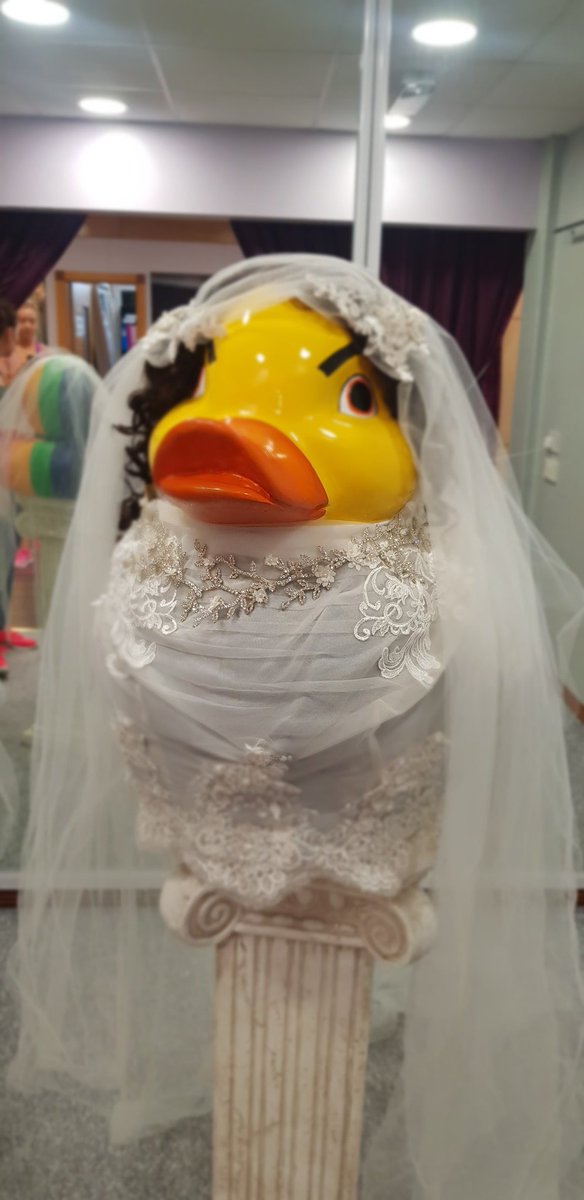 _PerfectBliss_'s tweet photo. Remember you can get your selfie's with our wedding ducks 🦆 https://t.co/zzkWCAra44