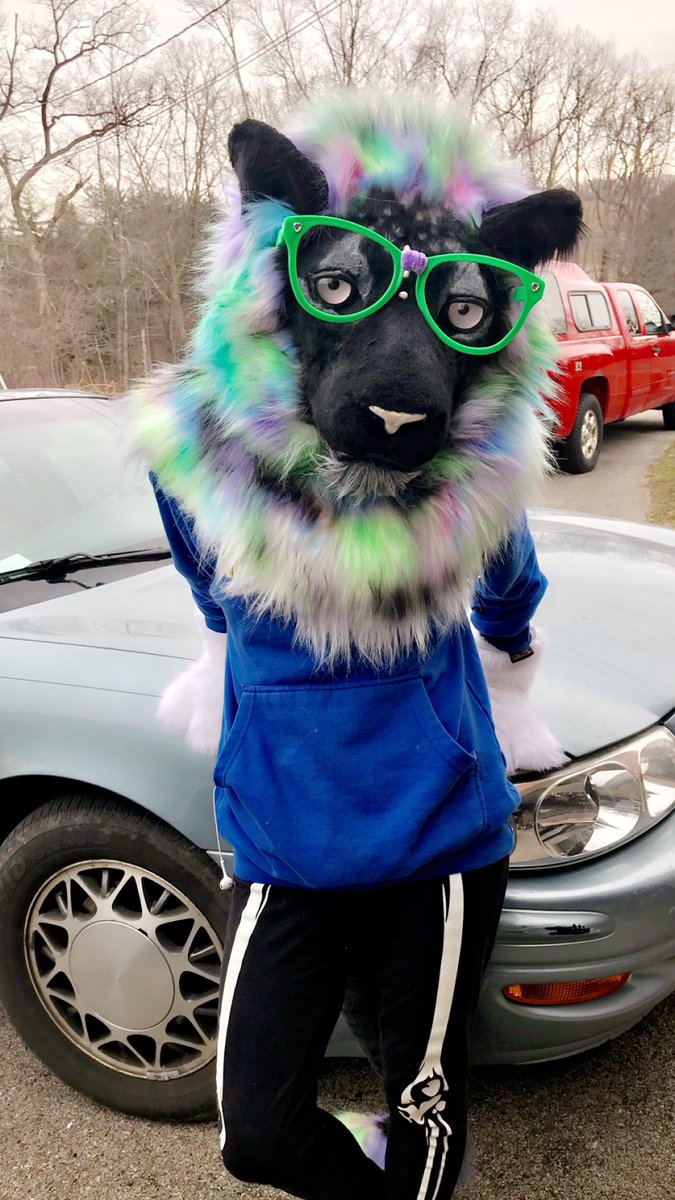 average_king_'s tweet photo. Missing him right about now 😞 but I know he is safe and happy! https://t.co/LAaEOS5HCq
