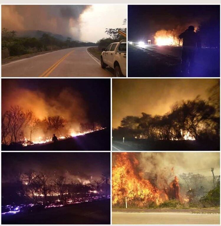 by_minjin's tweet photo. El gobierno de Bolivia no quiere dar ayuda a la Chiquitania porque parte del oriente no está apoyando a su re elección ES ENSERIO!!? BOLIVIA ES CONSIDERADO POR SU RICA FAUNA Y FLORA Y TE CAGAS EN TODO! #PrayforAmazonia #PrayforBolivia https://t.co/MO61Iu4Sne