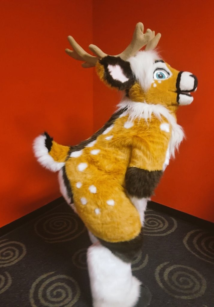 Keirabou tweet media