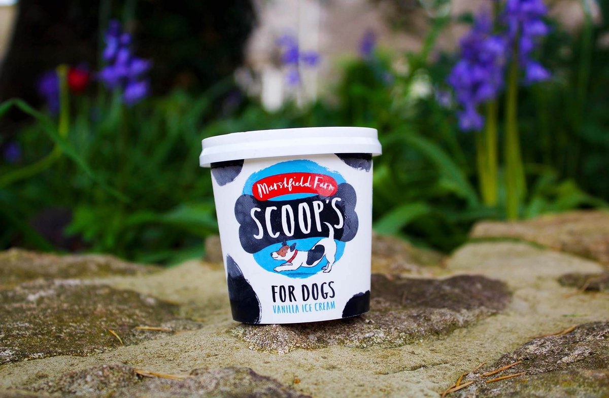 RedEllesmere's tweet photo. For sale in our Dog Friendly Pub from tomorrow!!!

Marshfield Farm SCOOP’S Ice Cream!!!

This delicious ice cream includes:
🐾GLUCOSAMINE for joint care
🐾VITAMIN C for a healthy immune system
🐾OMEGA 3 for a glossy coat
This is alongside our Doggy Treat Menu available every day! https://t.co/UkD9zp3Yns