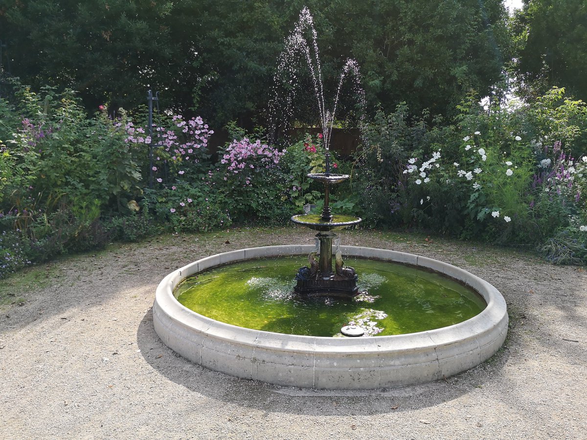 ajpears1's tweet photo. Gosport looking great well done @markhibbs10 and team @JamesLloyd99 @Paul__Donnelly @Hort_Sodexo https://t.co/BwQydzso7w