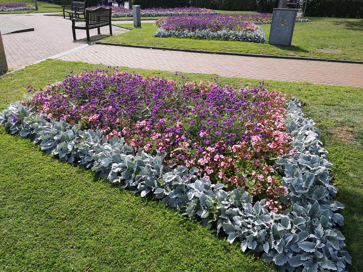 Great work demonstrated at Gosport <a href="/markhibbs10/">Mark Hibbs</a> <a href="/JamesLloyd99/">James Lloyd</a> <a href="/Paul__Donnelly/">Paul Donnelly</a> <a href="/Hort_Sodexo/">Hort Services</a>