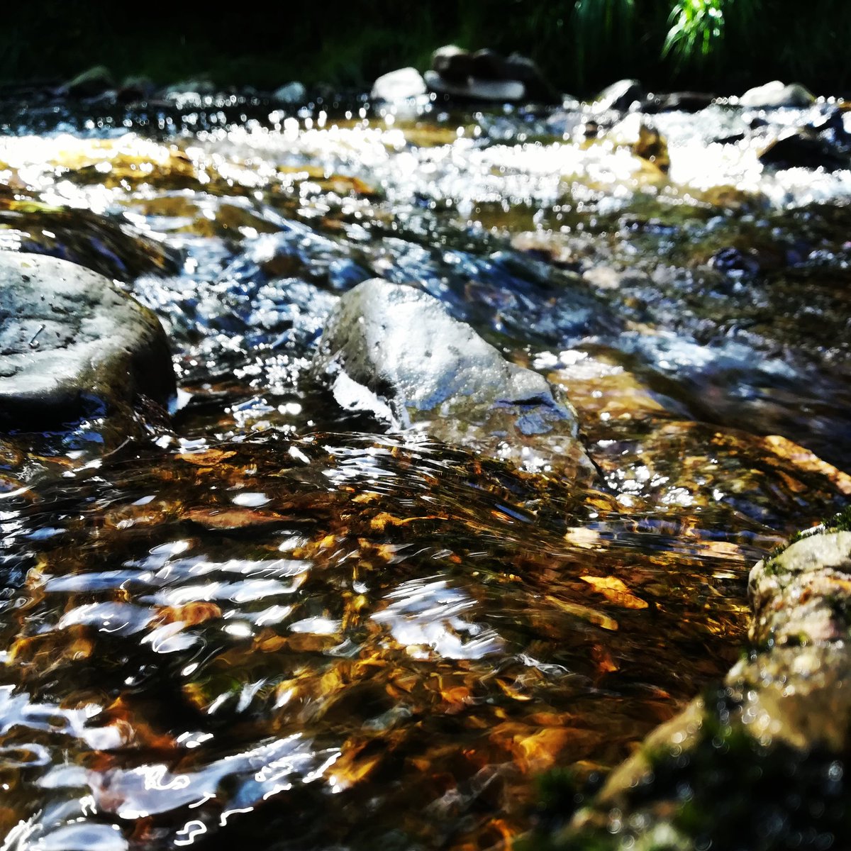 bushcraft4all's tweet photo. Ardennen #river #water #ardennes #countryside https://t.co/N2JrWOBaRy