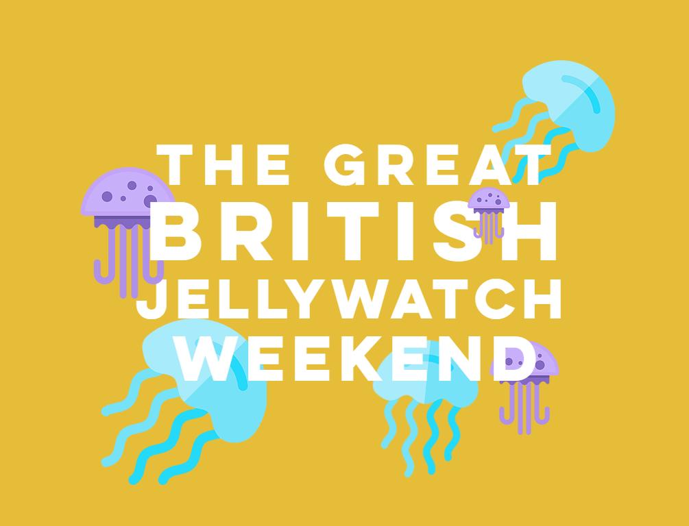 GBJellywatch's tweet photo. The Great British Jellywatch Weekend! Take part in the UK’s largest jellyfish survey this bank holiday weekend 24th - 26th August &amp; share your jellyfish photos with us here using #GBJellywatch. To find out how you can take part head to https://t.co/hz4kX28l6z😍💙 https://t.co/ynOPDVJHAo