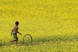 sadhineth's tweet photo. my won village https://t.co/pirckK2MVu