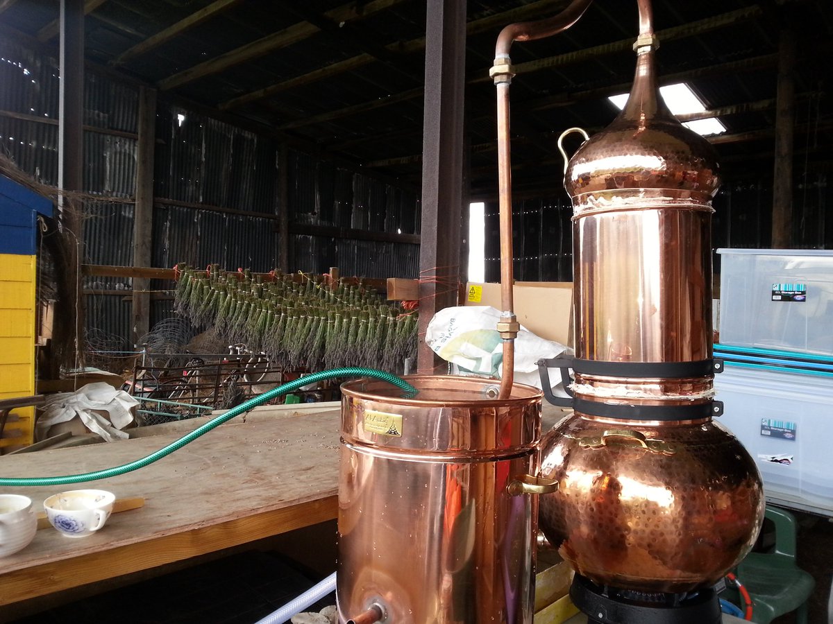 lavanda_mia's tweet photo. Distilling the lavender oil in the barn ..the scent is so soothing! https://t.co/dD3fnI6OHr