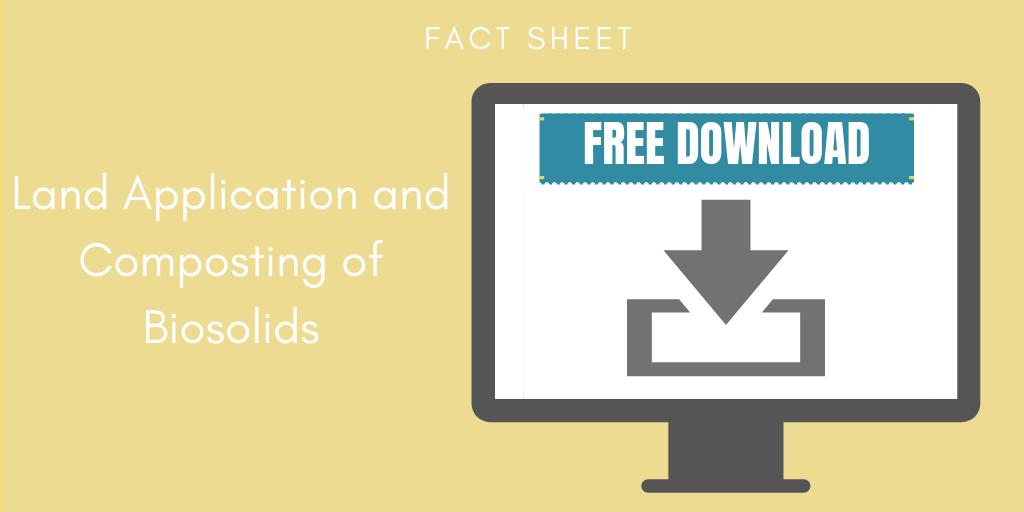 free the structure of the atmospheric absorption bands