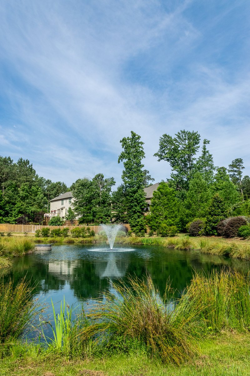 DragonflyWorks's tweet photo. August is #NationalWaterQualityMonth Read our latest blog to learn easy steps you can take to make a big difference!
https://t.co/1g9uTN0FNS
#dragonflypondworks #waterqualitymonth #environment #stormwater #createbeautifulspaces https://t.co/jwJRHAVOff