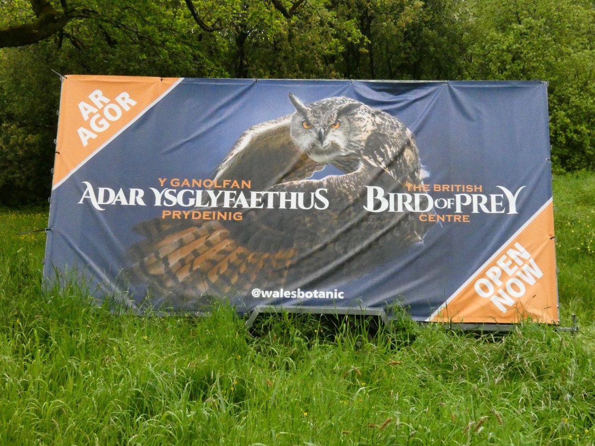 My photowork has been up a while now but beyond honoured to have it featured in full poster size outside of @walesbotanic @ukbirdsofprey #conservation #europeaneagleowl #hector #drewdaviesphotography