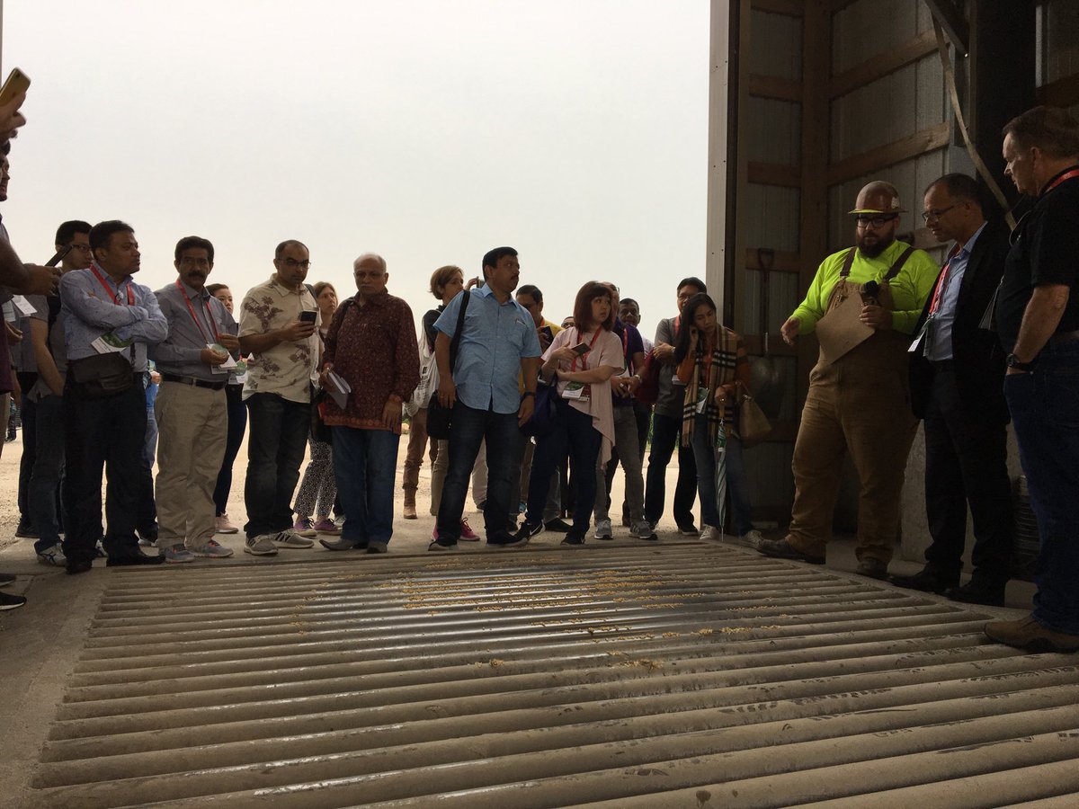amyroady's tweet photo. I always enjoy talking to International customers about soybeans and providing fun facts about Illinois. Great first stop @CHSIncorporated to see soybeans being loaded into containers.#soyfromillinois #ussoyevents https://t.co/pnGQYwSRNC
