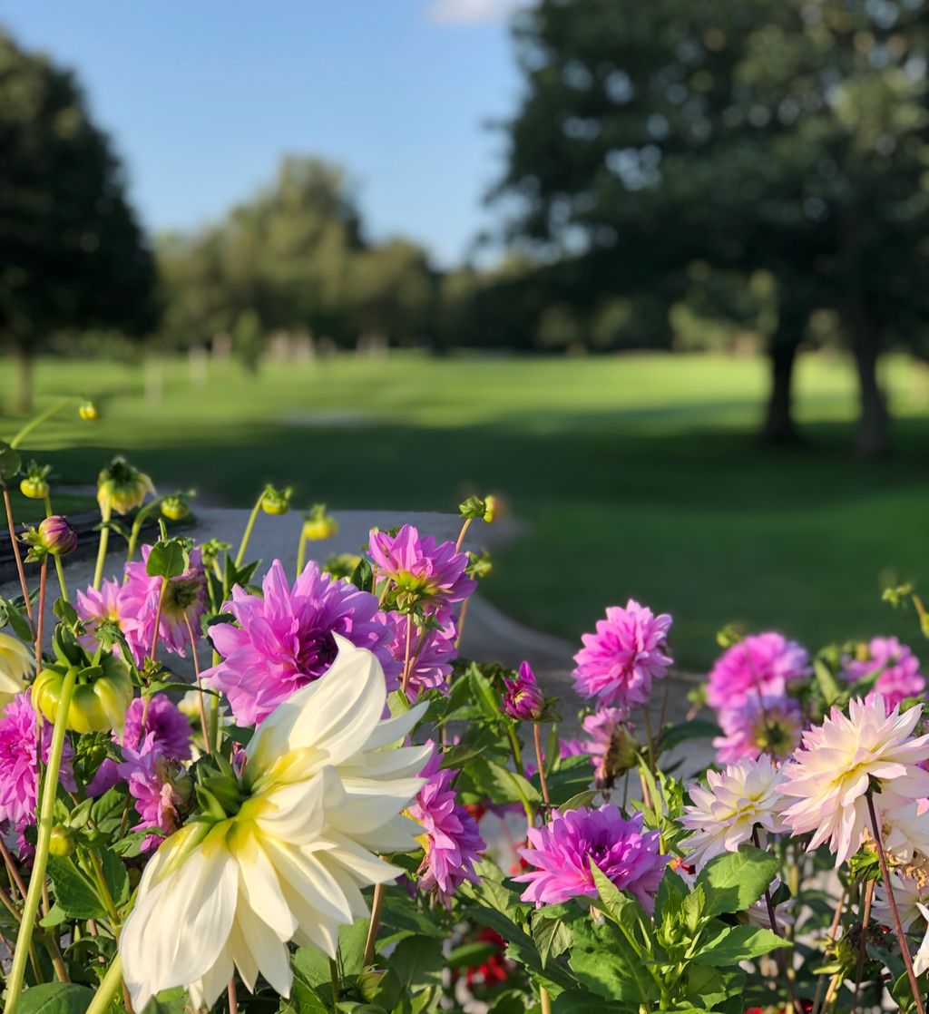Have you played Astbury GC this summer? With the course and the surrounding areas looking great, there’s no better time to play

#golf #coursestoplay #golflife #cheshire #summer #congleton