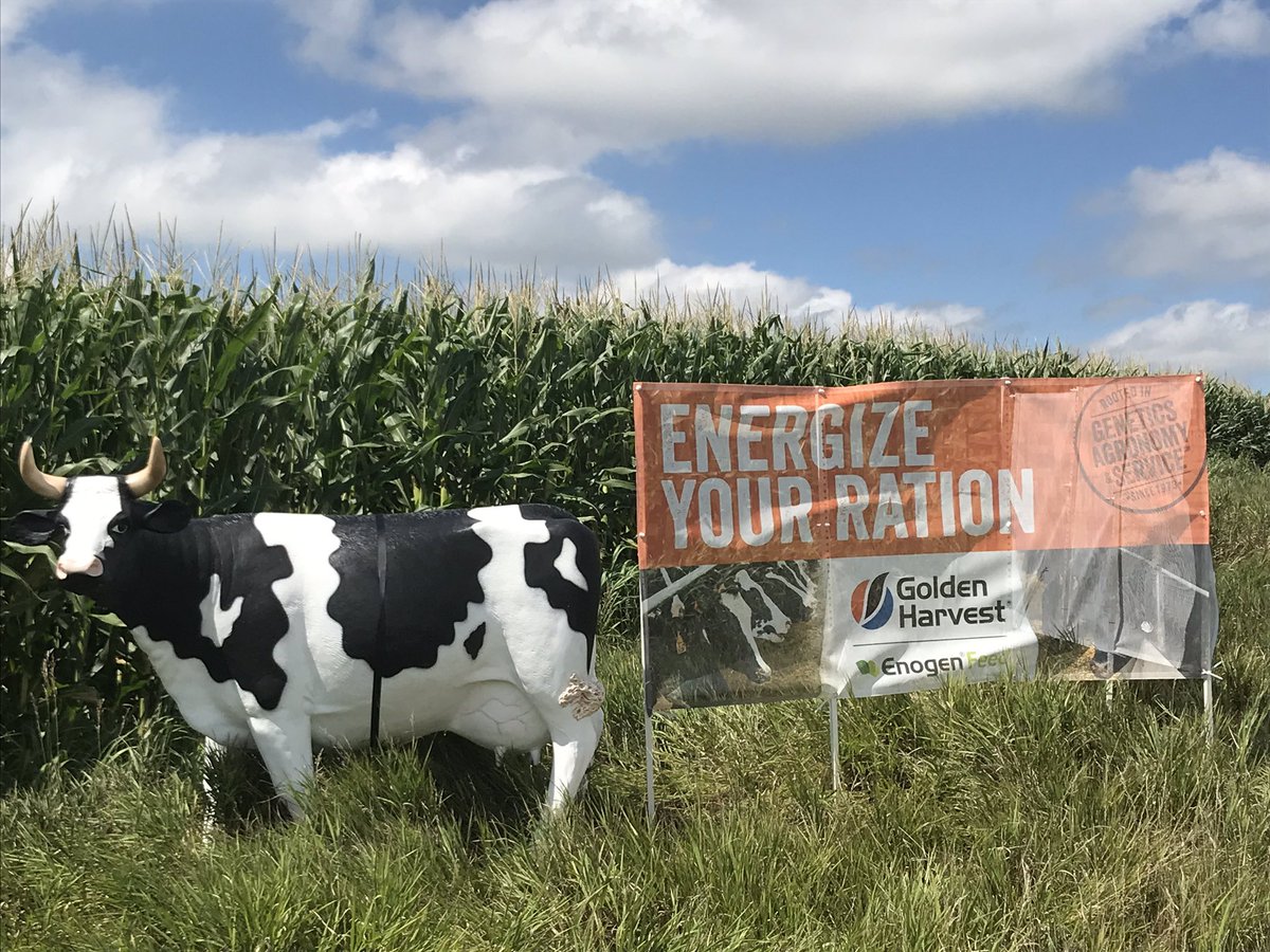 TONIGHT 6:00 PM!!!!  From Wayne, NE we will be 3 miles south on Hwy 15 then 1/4 mile west. Dr. Dale Blasi of KSU and Ruminant Nutritionist Ted Koehler will explain how to ENERGIZE your ration using ENOGEN FEED CORN to all Dairy/Beef and Silage producers. Drinks and meal to follow