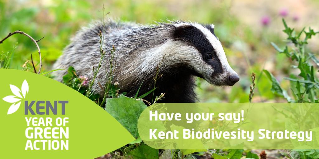 Kent_cc's tweet photo. The importance of nature and the essential role it plays in our lives is often overlooked. So we must take action – not just for nature’s sake but for our own. Have your say on the #Kent #Biodiversity Strategy by 1 Sept: https://t.co/7G0cf3IyIO. #yearofgreenaction #agreenfuture https://t.co/D6auWrSYIH