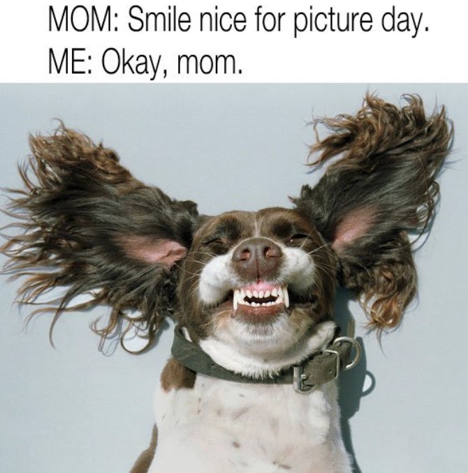 HildebrandtKISD's tweet photo. SMILE: Picture day is coming! Tuesday, August 27 through ELA classes. Purchase online https://t.co/KV549IzSFc Picture ID: PB019082Y0 https://t.co/Guczq18BDU