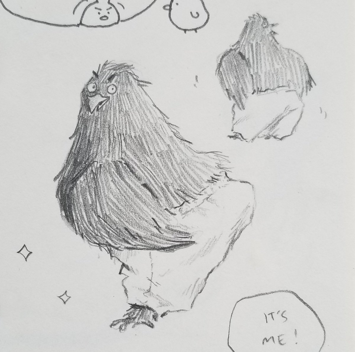 some things from my new sketchbook :) 