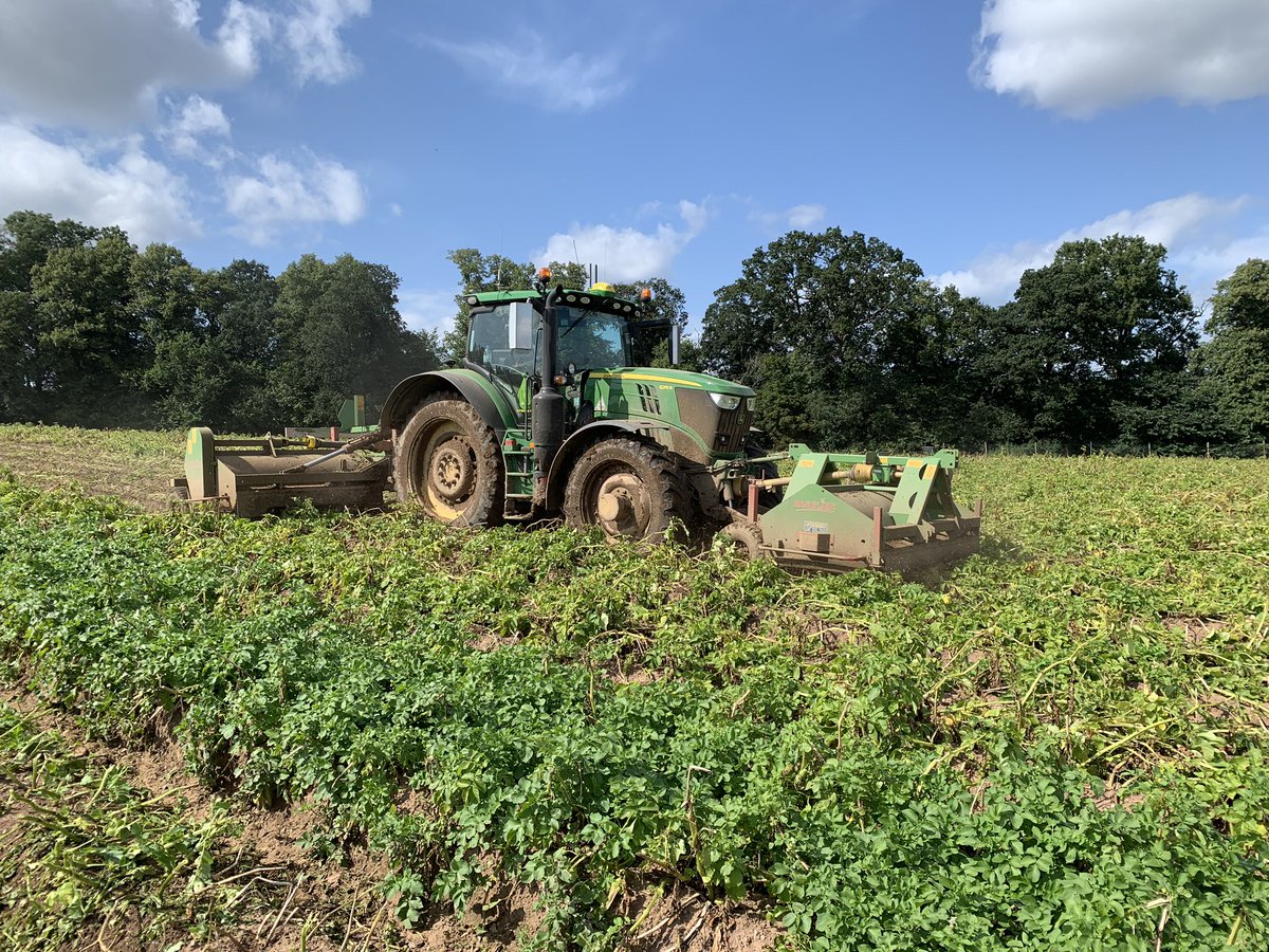 jdsthomson's tweet photo. #Baselier toppers making short work of flailing spuds for storage https://t.co/w7diinXtZJ