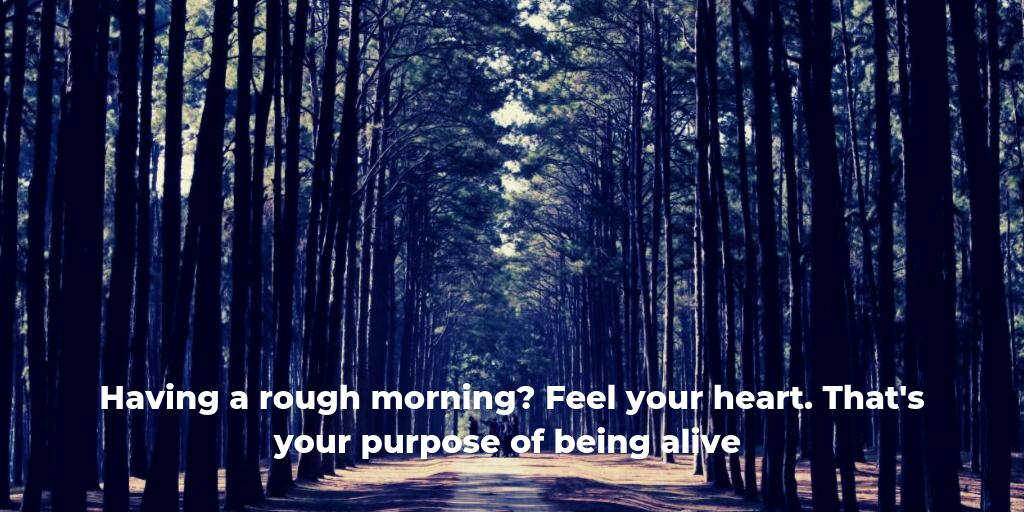ceylonsolutions's tweet photo. Sending everyone some positivity! 
. 
#software #softwaredevelopment #newtechnology #softwareengineering #developtogether #developerlife #developments #technologies #techworld #ceylonsolutions #guidance #expertise #solutions #tech #developments #innovation #positivethoughts https://t.co/IS7rPcrsrD