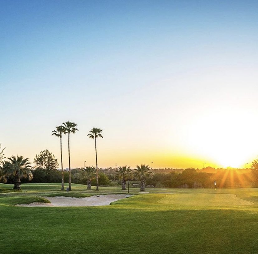 talkinggolf tweet media