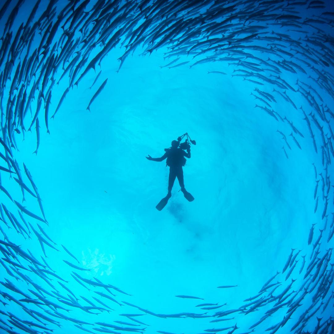 Your underwater paradise awaits! Delve into Belize’s Blue Hole or swim among the Cayman Island’s majestic stingrays. Book with Delta Vacations for a completely customizable trip and unforgettable experiences. #TravelTipTuesday