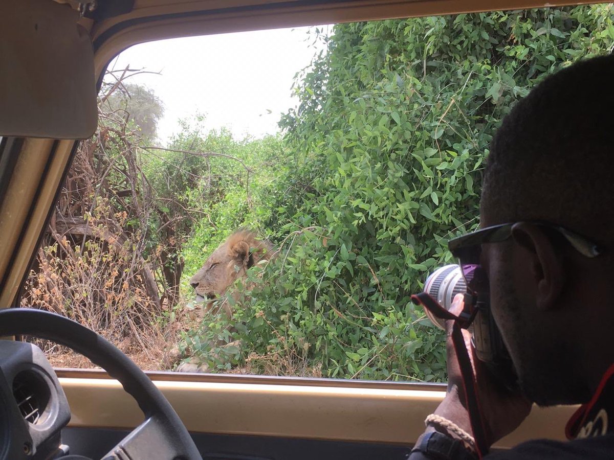 EwasoLions's tweet photo. Toby photographing lions during the #kenyacarnivoresurvey in Samburu. Thanks @Femke_Broekhuis for the photo. https://t.co/0E7jJzgC0K