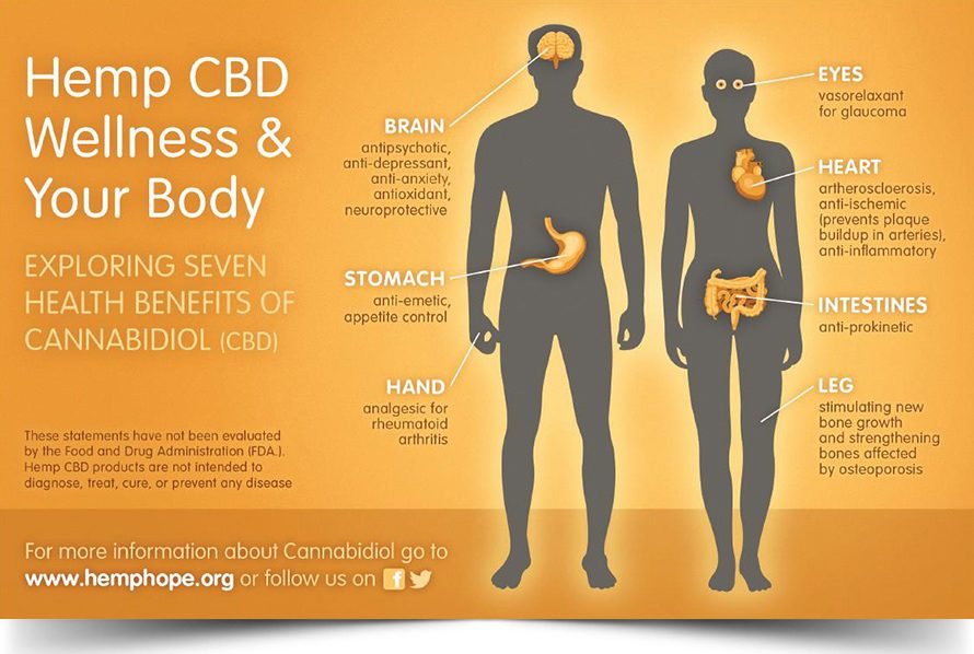 pure_five's tweet photo. What could CBD do for you? #PureFIVE #CBD #wellness https://t.co/NOuoonetjG