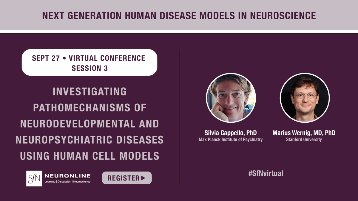 SfNtweets's tweet photo. Human-derived cerebral #organoids allow @silvianeurompi’s lab to explore neuronal migration during development. Marius Wernig’s @stanford lab uses iPSCs to study #autism spectrum disorders. Learn techniques for your lab at #SfNvirtual conference Sept 27 https://t.co/vazugUruEo https://t.co/KE2Vo4foDZ