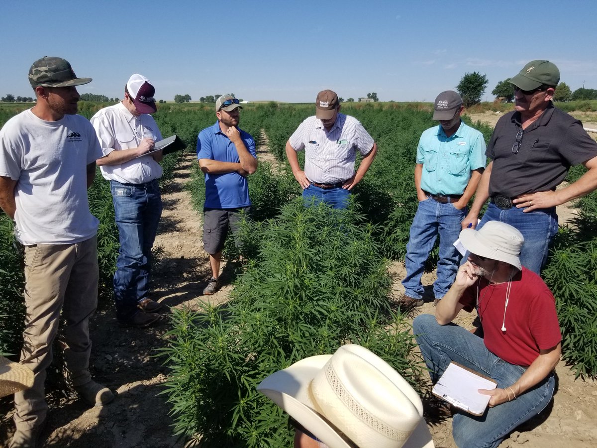 Day 2 of our Texas A&amp;M AgriLife Extension tour. We are on a Colorado hemp farm to learn more about the agronomic practices of growing industrial hemp in anticipation of USDA and TDA regulations release in upcoming months.