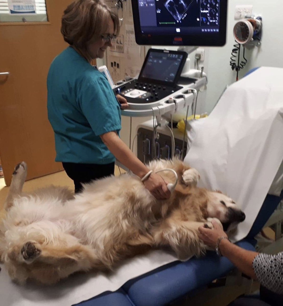 This is Jessie. She works at a children’s hospital teaching patients not to be afraid of certain procedures. For an echocardiogram, just lie on your back and hold your mom’s hand. 14/10