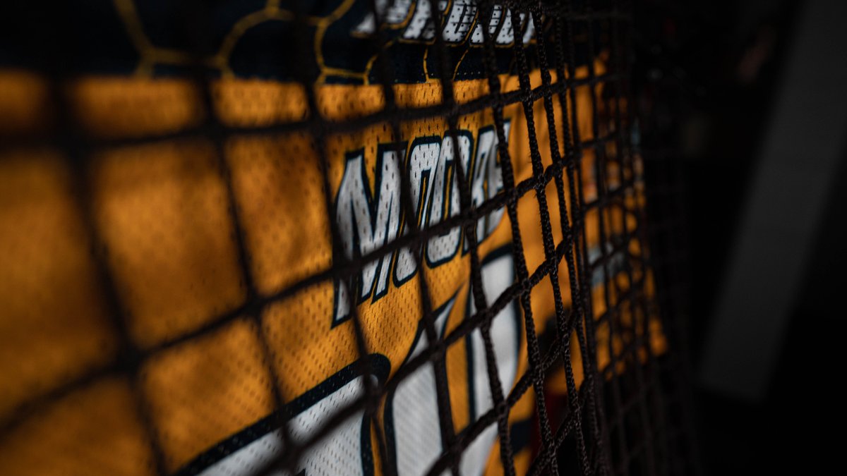 Jr. Swarm tweet media