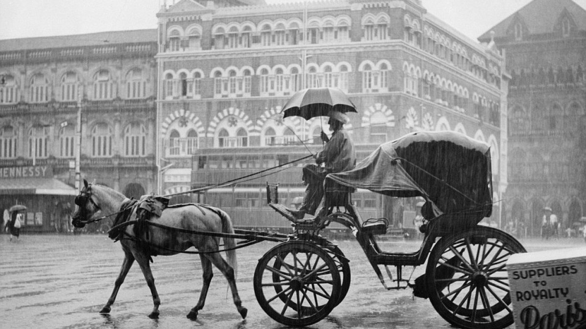 Indian Eagle tweet media