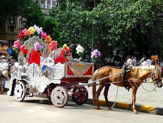 Indian Eagle tweet media