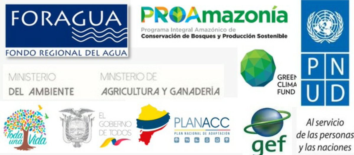 FORAGUA's tweet photo. #TallerCambioClimático| Inicia capacitación e intercambio de información con los Directores de Gestión Ambiental y técnicos de los GAD municipales de @FORAGUA para las cuencas hidrográficas Puyango, Catamayo, Santiago y Mayo. #PlanNacionalDeAdaptación, #MAE, #PROAmazoniaEC #PNUD https://t.co/M5VAI56iG8
