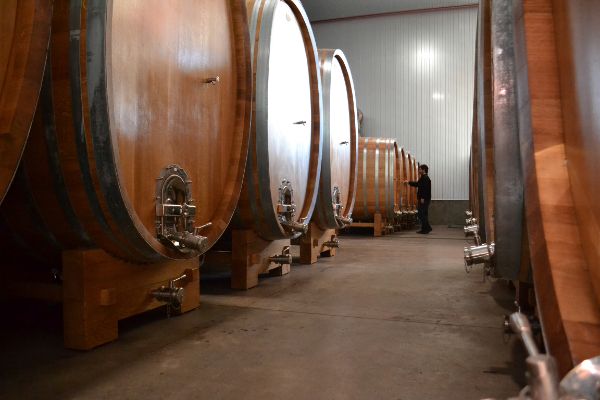 Cata Vertical - Viña de Martino - mailchi.mp/7dabe9e5a488/k…