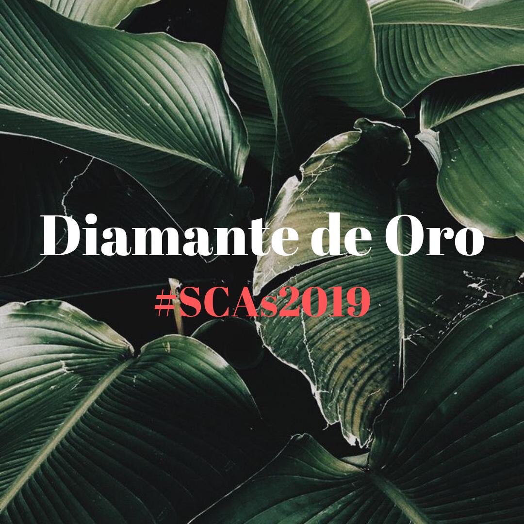 LouisT91Spain's tweet photo. Louis está nominado en las “Batallas Diamante de Oro” #SCAs2019 de @Spanish_Charts. Se enfrenta en la Batalla 3 contra Ariana Grande.

Se puede votar hasta el 22/08.
https://t.co/ea306sqsUZ https://t.co/sCGrSB7Yxt