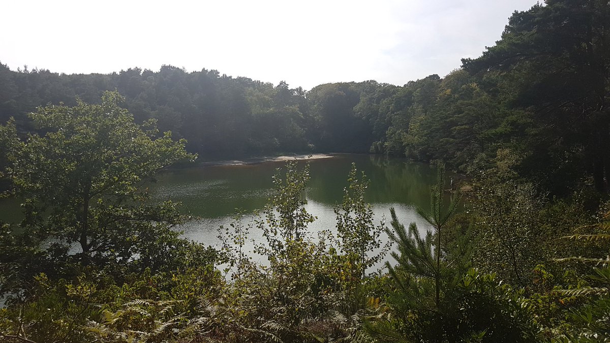 al4wfc's tweet photo. An Absolutely Lovely, Peaceful & Magical Visit As Always To The Unique Blue Pool.
😊💖 #TheBluePool #Dorset #Photography https://t.co/iUoRuAnTMN