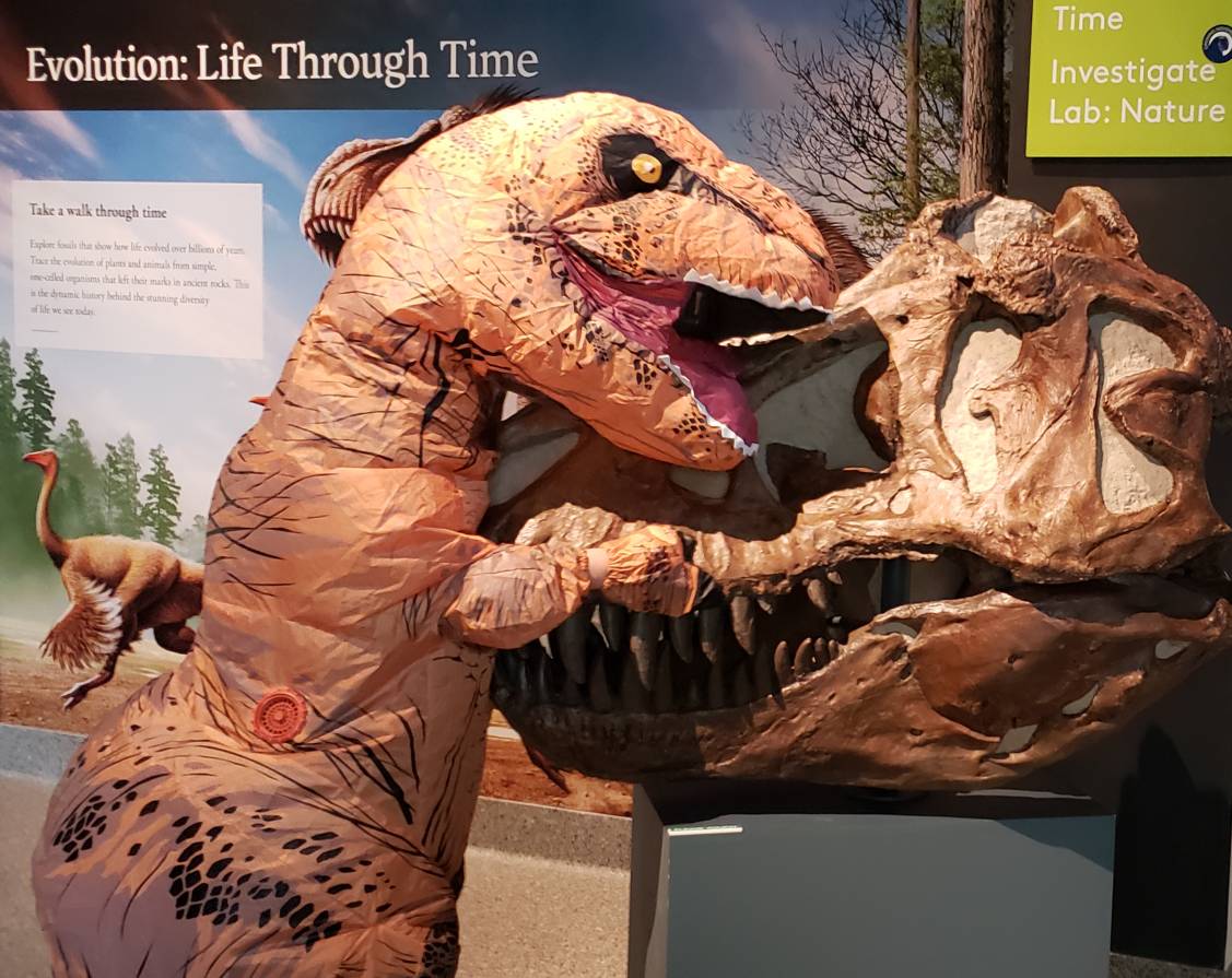UMMNH's tweet photo. Terry the T. rex gives some love to the touchable T. rex skull that welcomes visitors to  the Evolution: Life Through Time exhibit.

#AnnArbor #umlsa #umsocial #dinosaurs #Trex https://t.co/QaRQsOEsSI
