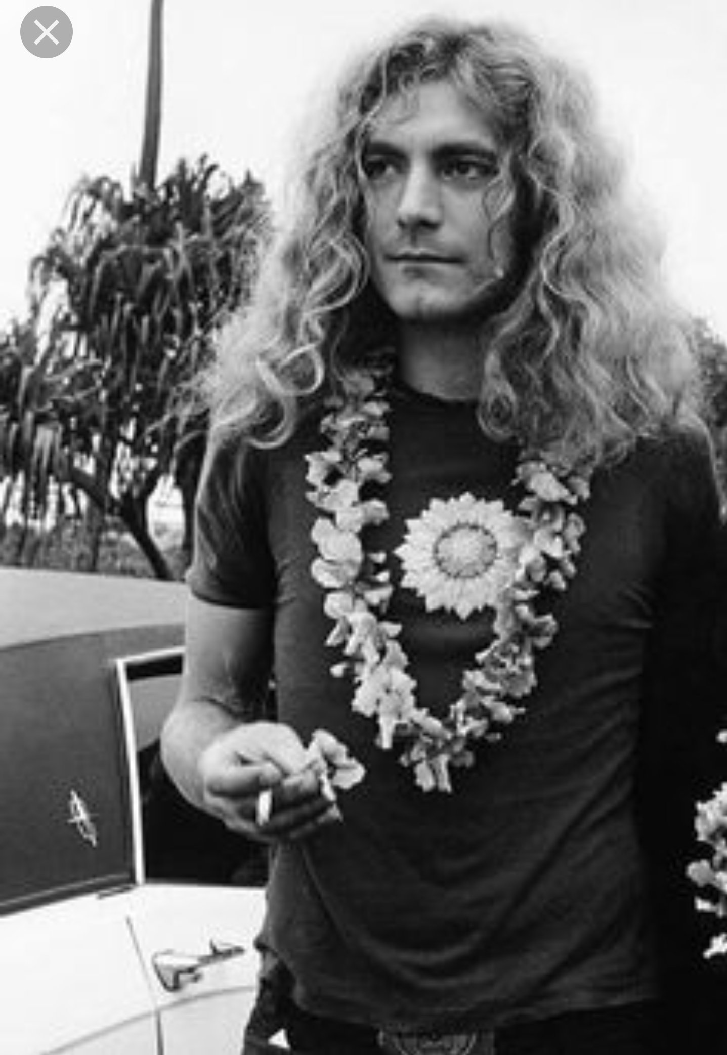 KSQM 91.5 FM on Twitter: "Happy Birthday Robert Plant-71 years young! Lead  singer for Led Zeppelin. #RockON https://t.co/K8quHlFshB" / Twitter