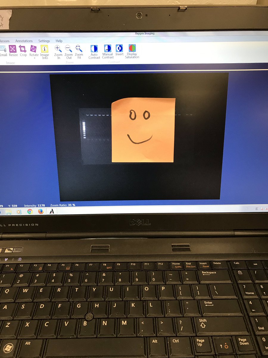 jmasterbell's tweet photo. PhD tip: find lab friends that try to protect you from your own bad results. #phdlife #phdchat #labbuddy #pcrsucks https://t.co/Nmw21Z29RL