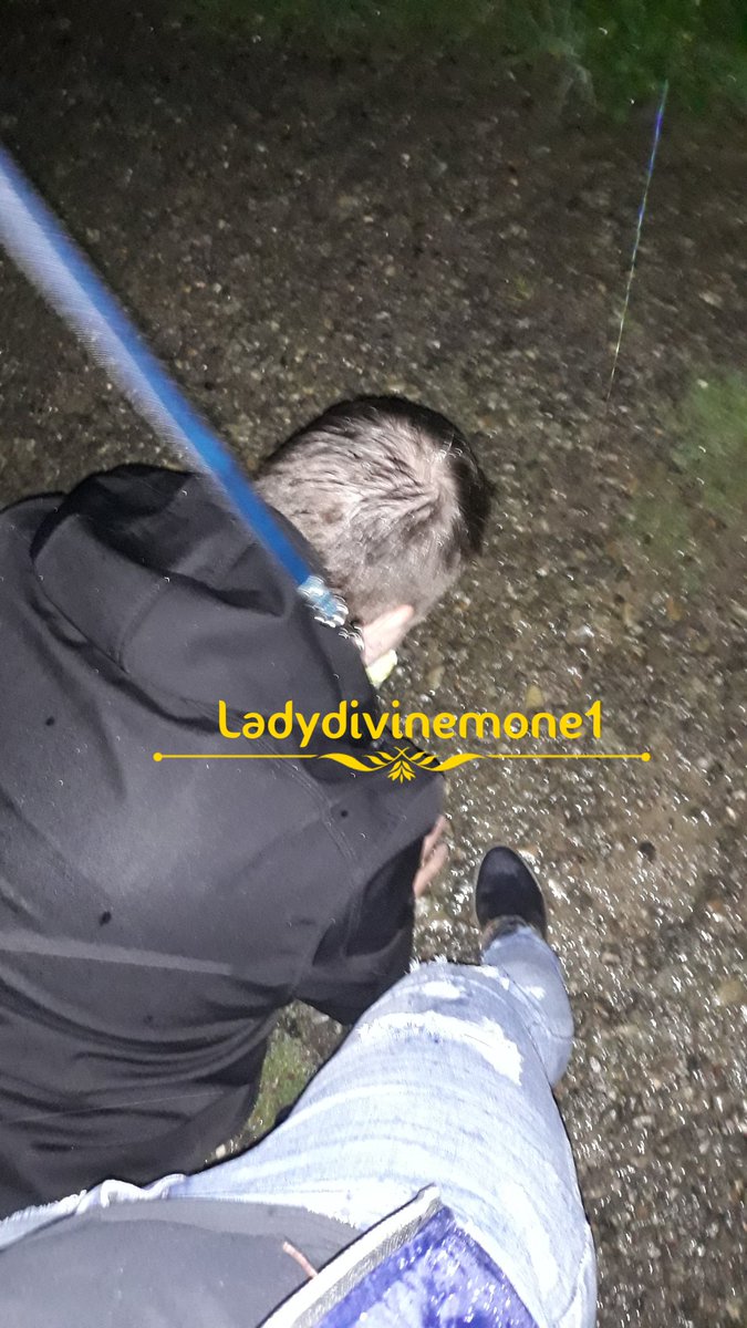 LadyDivineMone1's tweet photo. und noch eine Runde Gassi mit dem Köter bei dem Sauwetter 😂😂 #Findom #findomsub #petplay #finaldomination #dominatrix #moneydom #moneymistress #paypig #cashandgo #germanmistress #Geldherrin #Zahlsau #Zahlvotze #Zahldiener #Geldfetisch #Fetisch https://t.co/pjyoFWWSSP