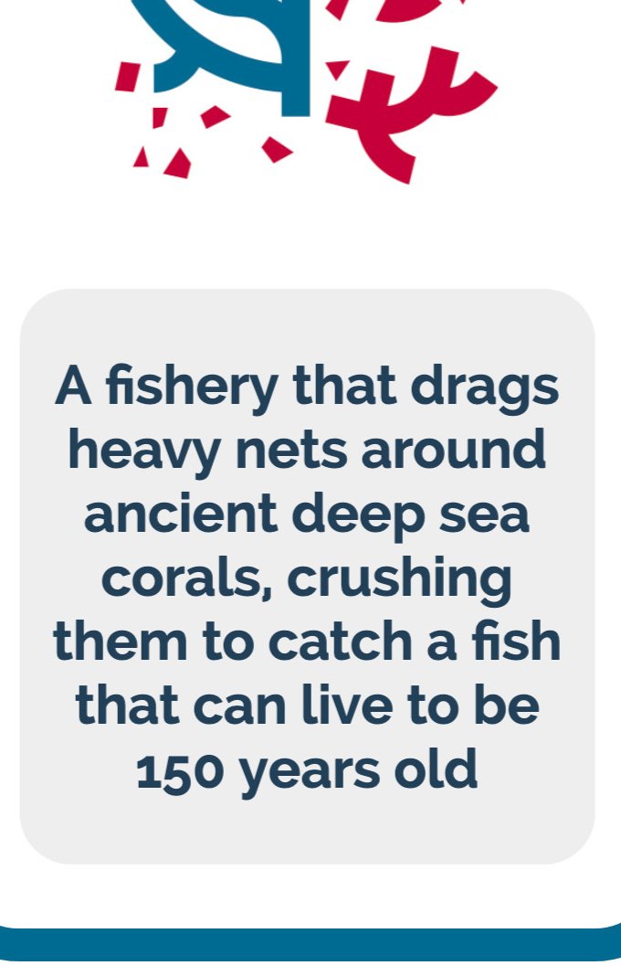 FixMSCNow's tweet photo. Does this sound like a sustainable and responsible fishery to you? Go check out @FixMSCNow’s new online game at https://t.co/fEIyns4tUY to find out more about this fishery and whether it’s indeed ‘certified sustainable’ #MakeStewardshipCount #sustainable #seafood https://t.co/oOHsLULRJ9