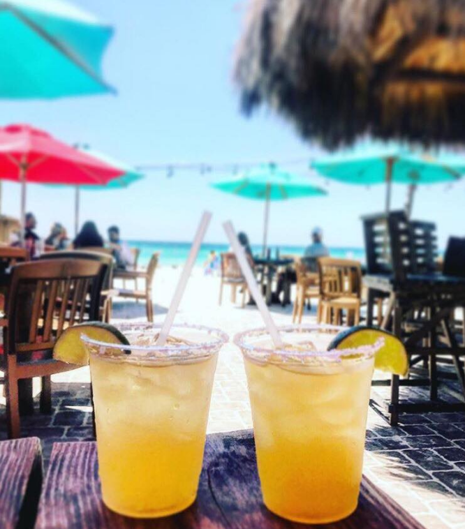 VisitBradenton's tweet photo. A1: Florida and freshly-caught seafood 🎣 go together like peanut butter and jelly… better yet, like fresh-caught grouper tacos 🌮 and house-made margaritas🍹! @GulfDriveCafe #WaterfrontRestaurant #FLTravelChat https://t.co/i8mnuq7qkD