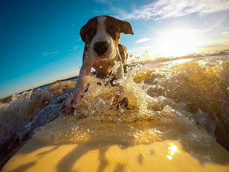 AlbachiaraBB's tweet photo. All ready to start surfing again?
#staytuned with the new event signed albachiara and association surfing! https://t.co/tuD1NDZsah