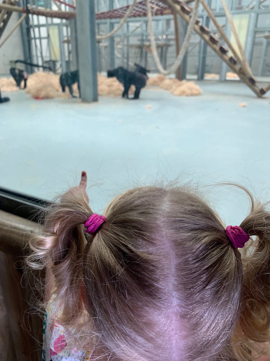 gmanstorey's tweet image. Another lovely day ⁦@WinghamWildlife making memories⁩ with my little J Dawg! The annual pass was the best Christmas present ever #sameagainnextweek